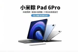 开云app登录入口截图4